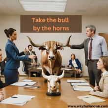 Take the bull by the horns